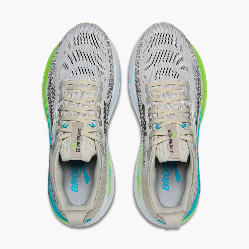 Men's Adrenaline GTS 25 - Oyster/Green Gecko/Blue