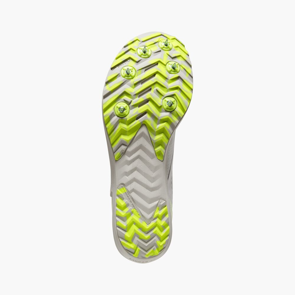 Women's Draft XC - White/Black/Nightlife